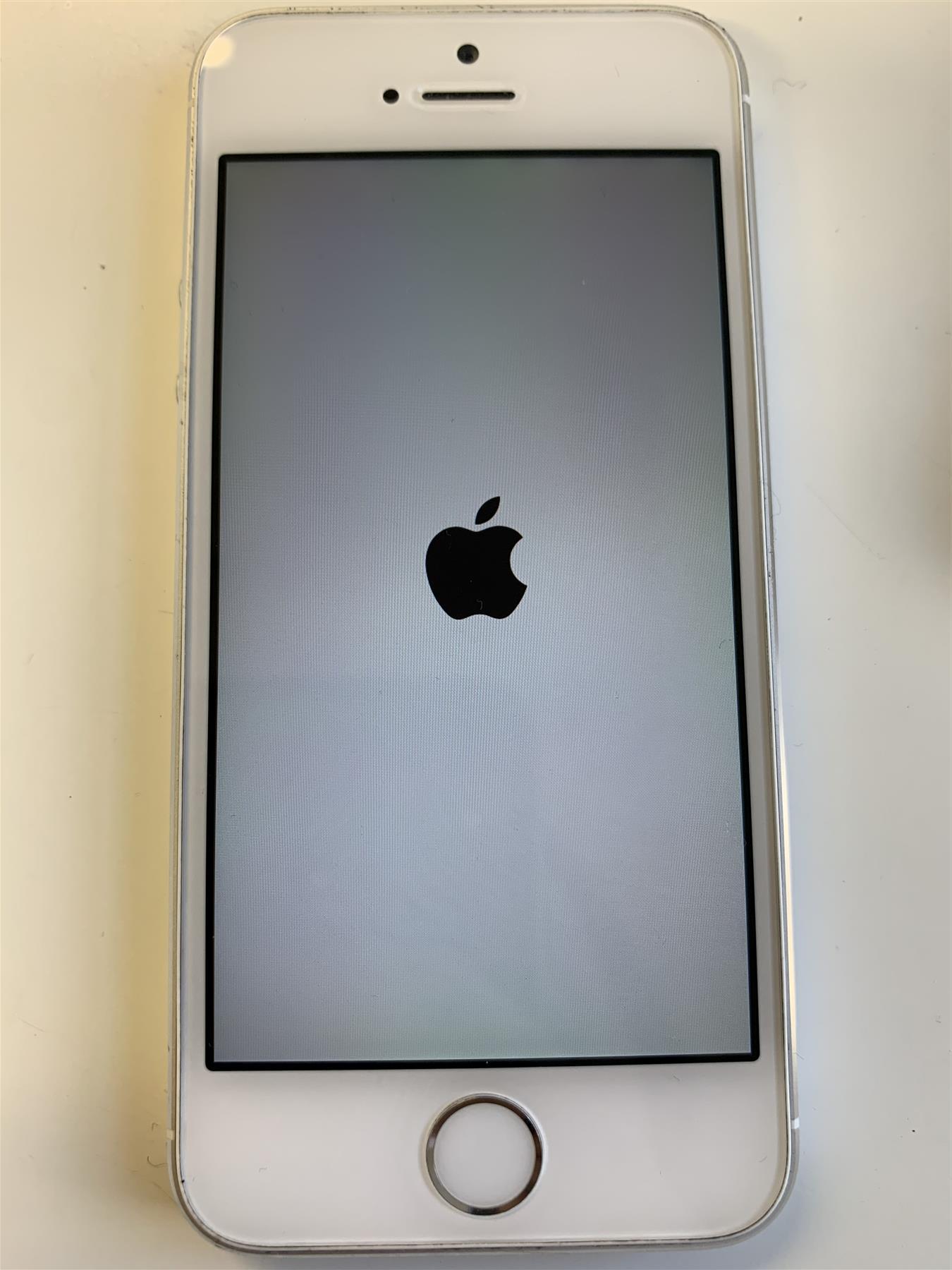 Apple iPhone 5S 16GB Silver Unlocked - Used